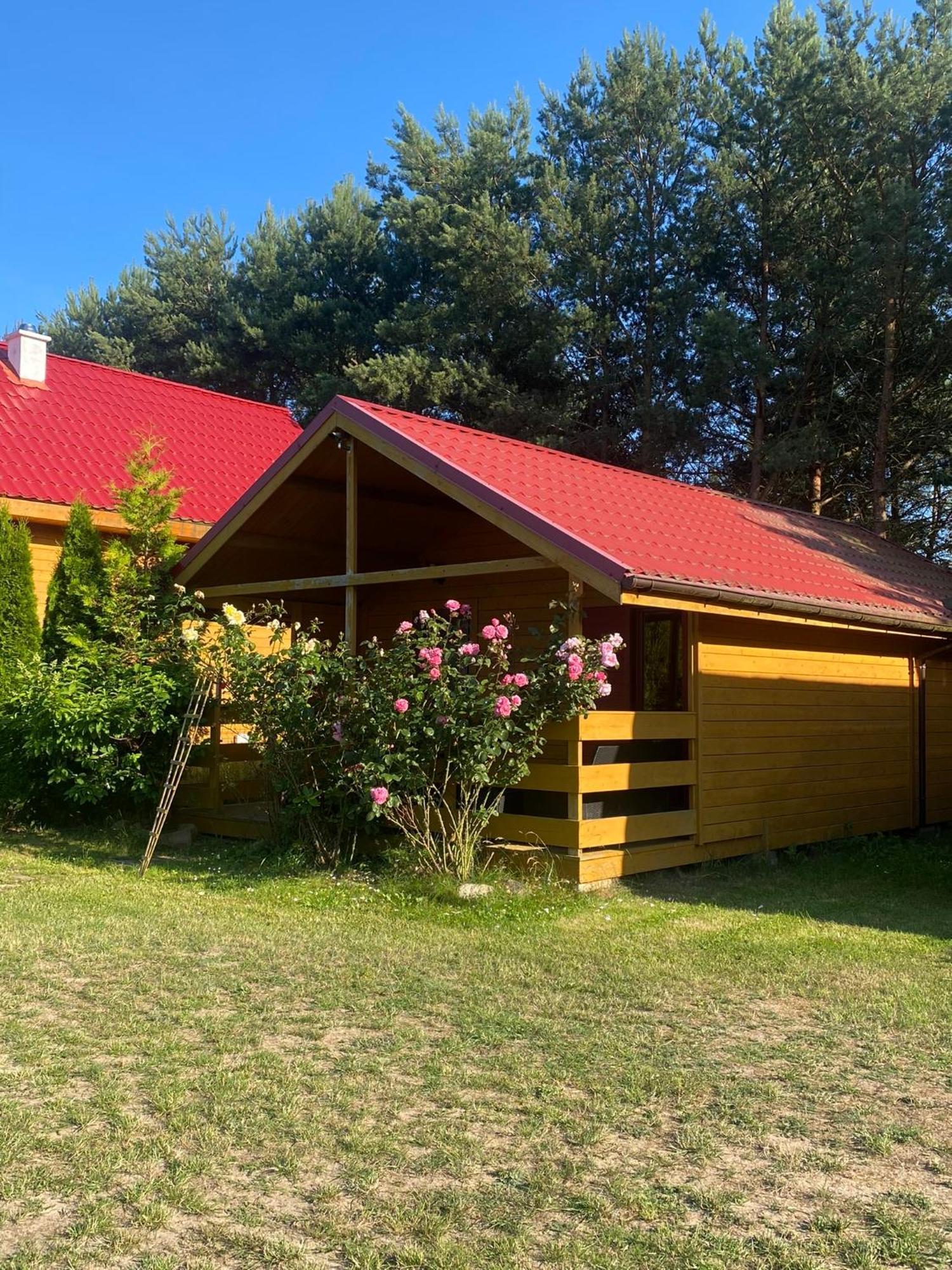 U Joanny Villa Wisełka Екстериор снимка